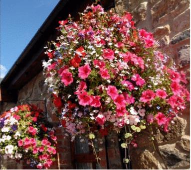 New Overlander Inn Tenby Exterior foto